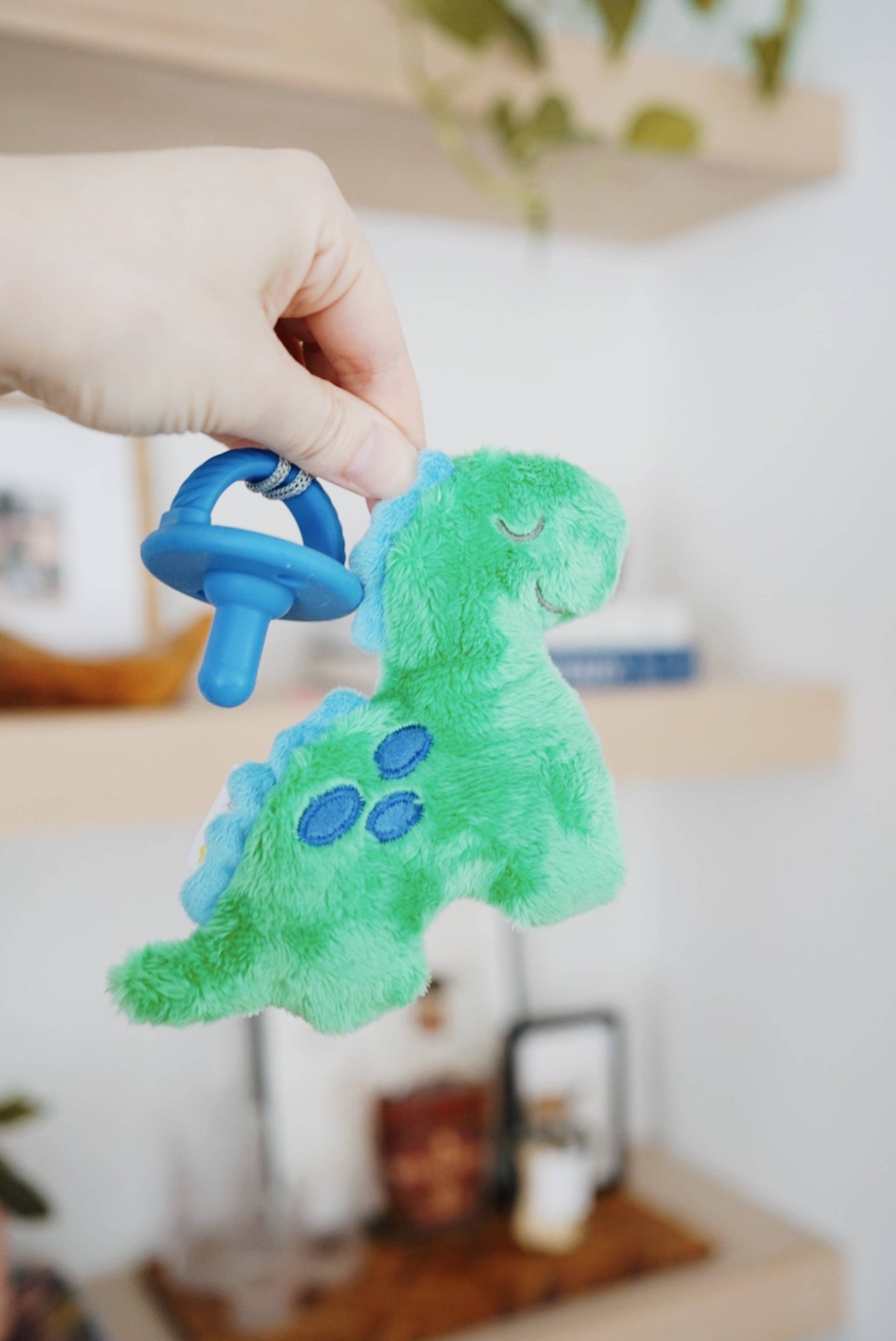 Dino Sweetie Pal™ Pacifier & Stuffed Animal