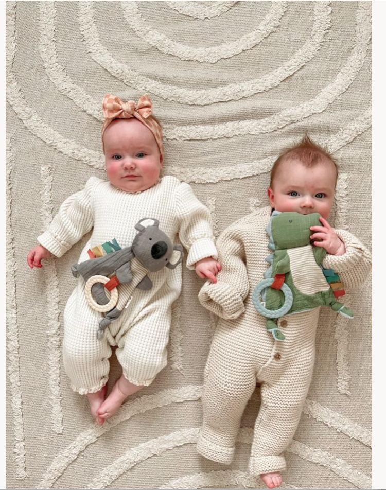 Dionosaur Bitzy Crinkle™ Sensory Toy w/Teether