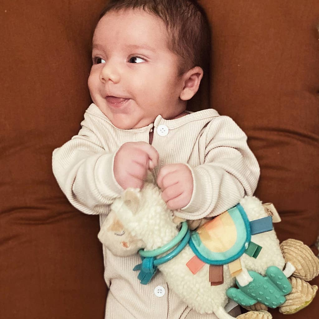 Unicorn Link & Love™ Activity Plush w/Teether Toy