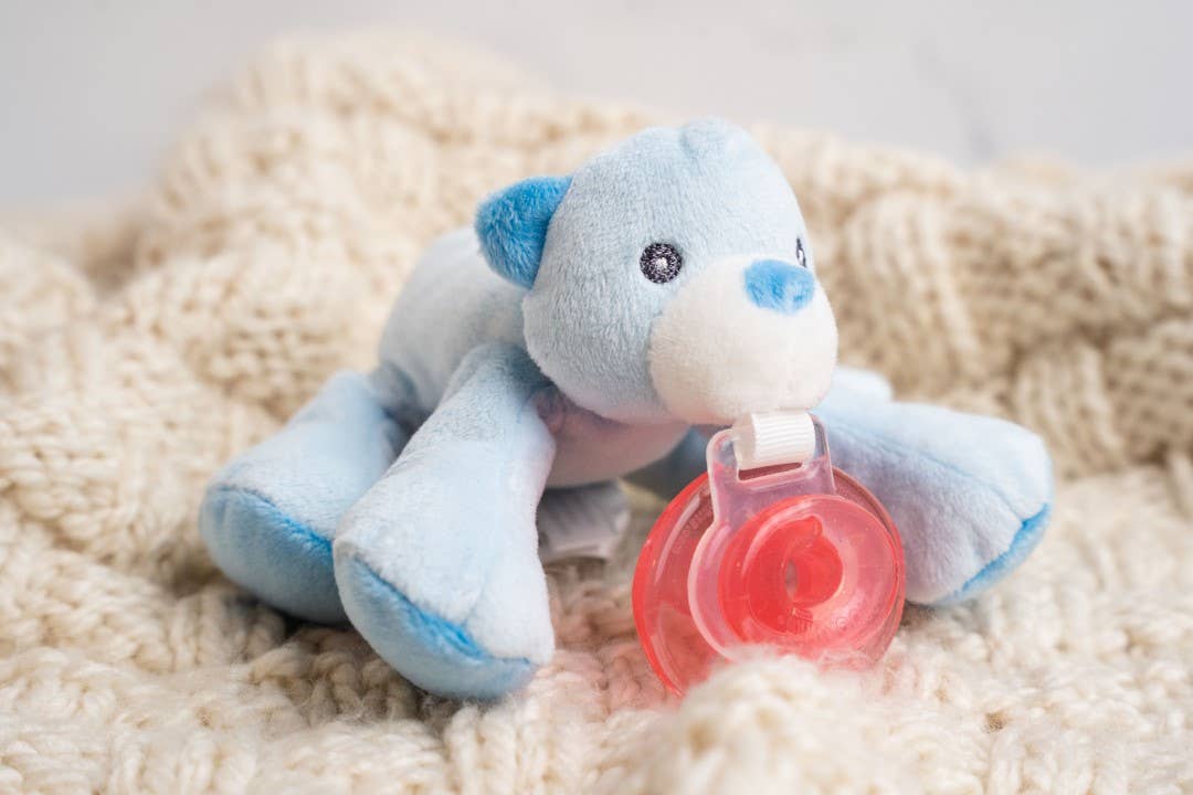 Paci-Plushies Shakies - Bently Bear