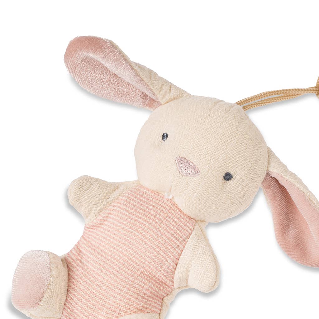 Bunny Bitzy Pal Natural Rubber Pacifier & Stuffed Animal